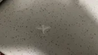 0.2mm 层高, 2 层墙, 15% 填充
