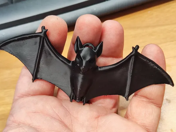 https://makerworld.bblmw.com/makerworld/model/US54cf63f8a30c20/design/2024-10-14_85acdd9201572.jpg