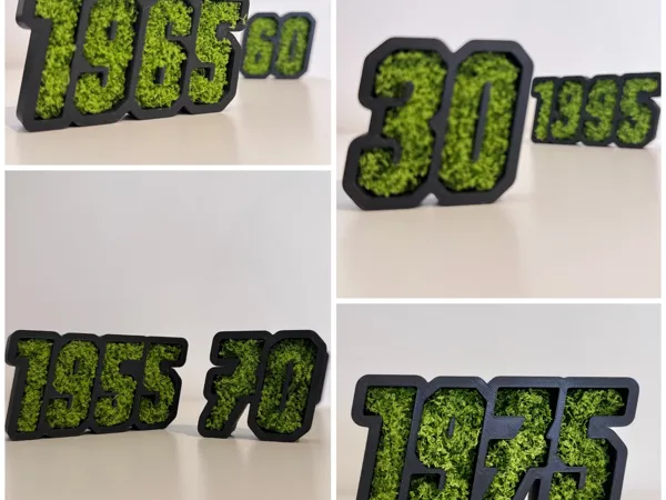 https://makerworld.bblmw.com/makerworld/model/US54d1a616c8a84c/design/2025-06-14_645ac61e1d237.jpg