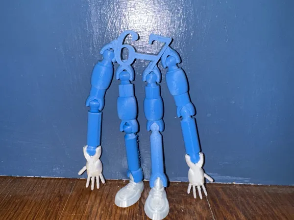 https://makerworld.bblmw.com/makerworld/model/US54d2da37f637e/design/2025-11-17_e4578a3ca5201.jpg