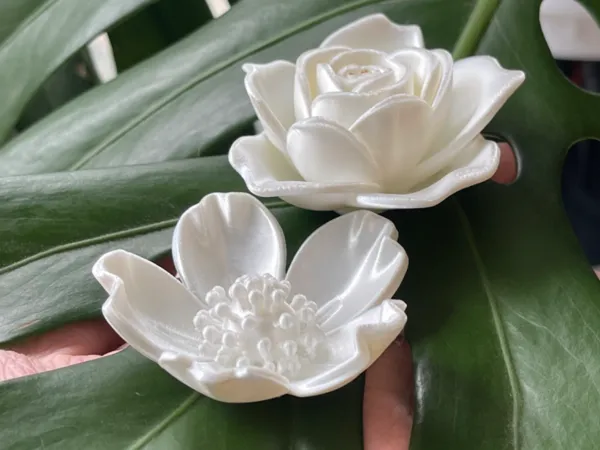 https://makerworld.bblmw.com/makerworld/model/US54d4a25913e55a/design/8d3567e41309d8d2.jpg