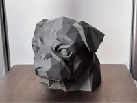 0.2mm layer, 3 walls, 10% infill