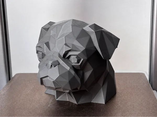 https://makerworld.bblmw.com/makerworld/model/US54d4d7bea1a5de/design/648bfbc2287d3877.jpg