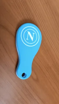 Napoli , 0.2mm layer, 3 walls, 25% infill