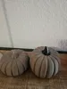 Big pumpkin, 40% size, Fuzzy Skin