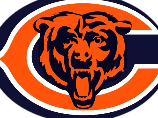 Chicago Bears Flexi Fidget
