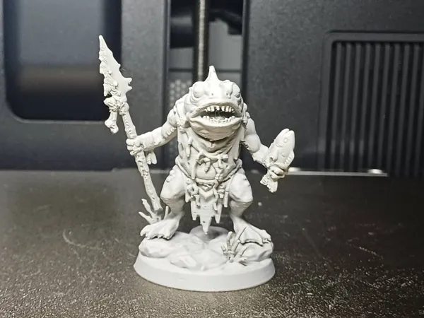 https://makerworld.bblmw.com/makerworld/model/US54e313f8658133/design/cc23fef51b25f8ca.jpg