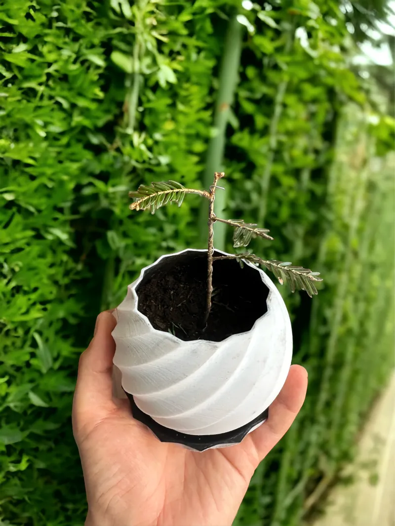 Spire flower pot