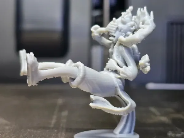 https://makerworld.bblmw.com/makerworld/model/US54e7032fca3e09/design/a381cda3d7e9a0ff.webp