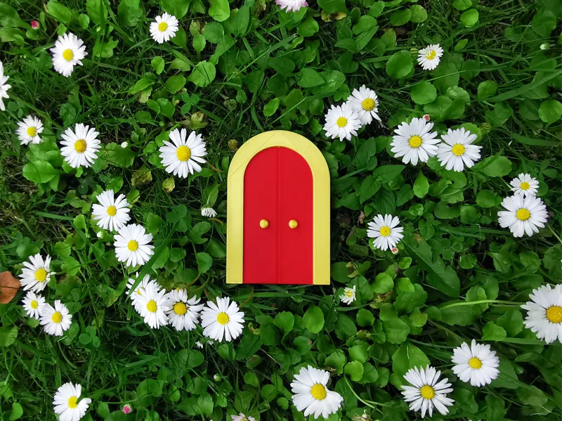 MINI DOOR