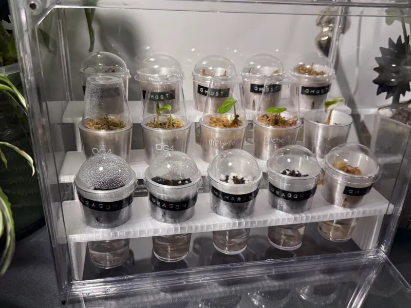 Compact Corm Propagation Rack – 15 Cup