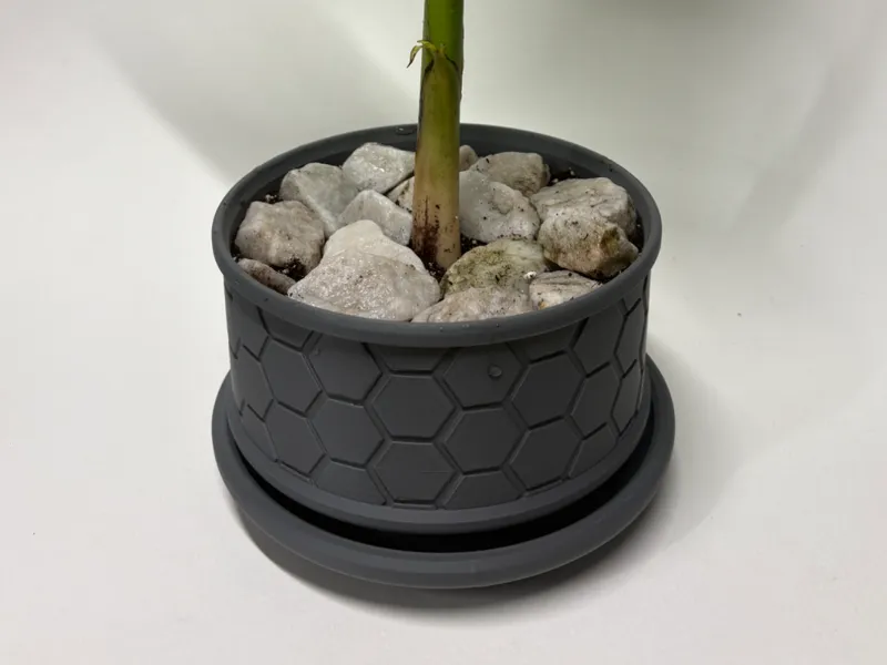 Honeycomb Drain Pot (3"/4"/5"/6")