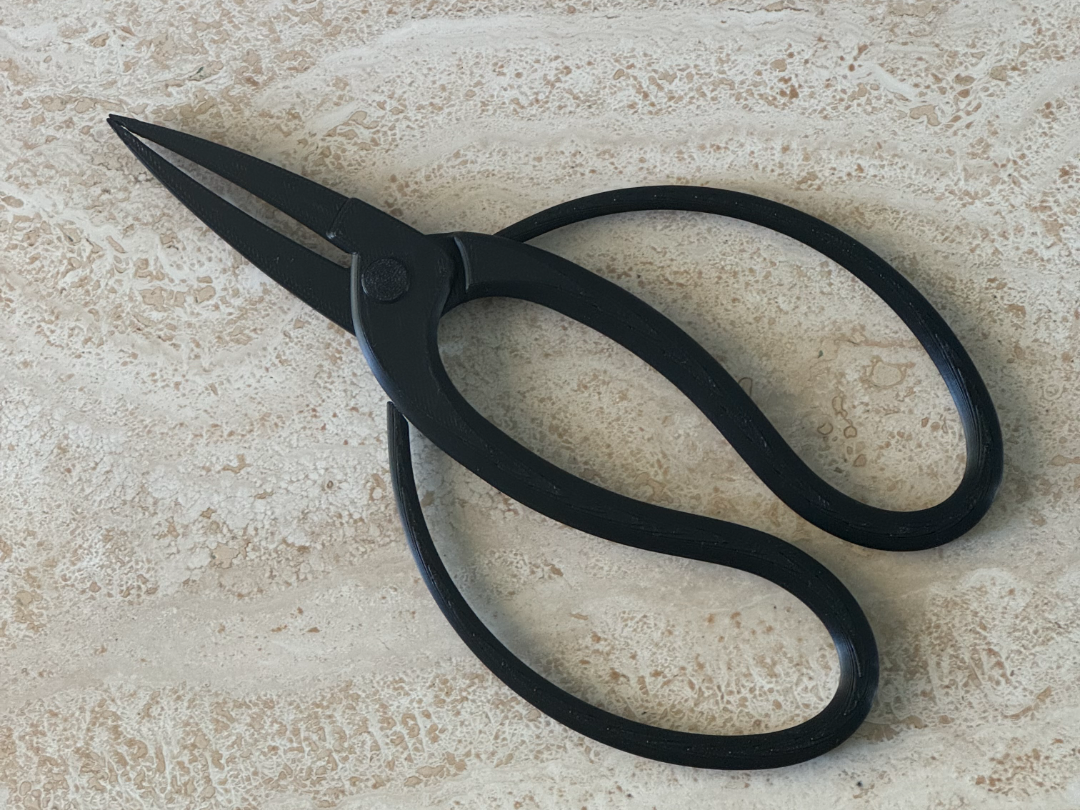 Bonsai Tweezers