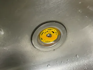 KitchenSink Drain Filter