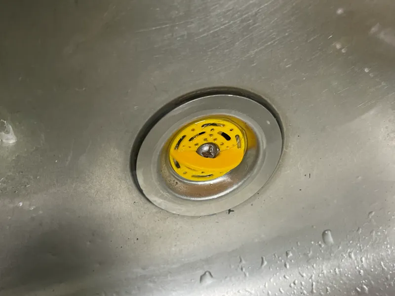 KitchenSink Drain Filter