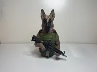 AMS Version