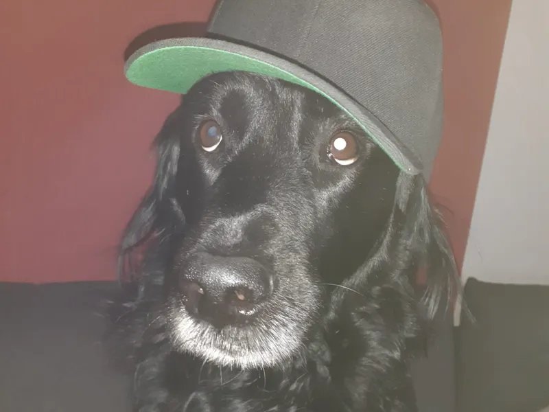 spike