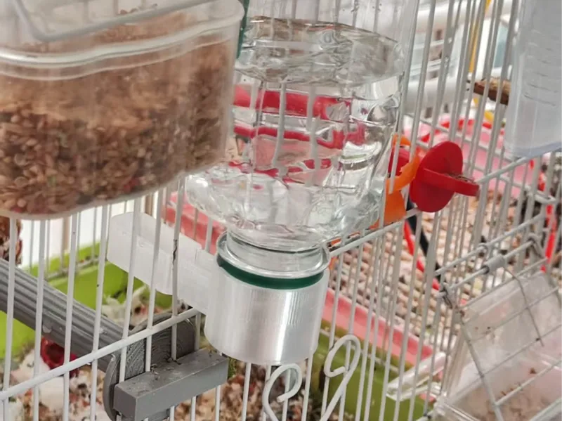 鹦鹉喝水器