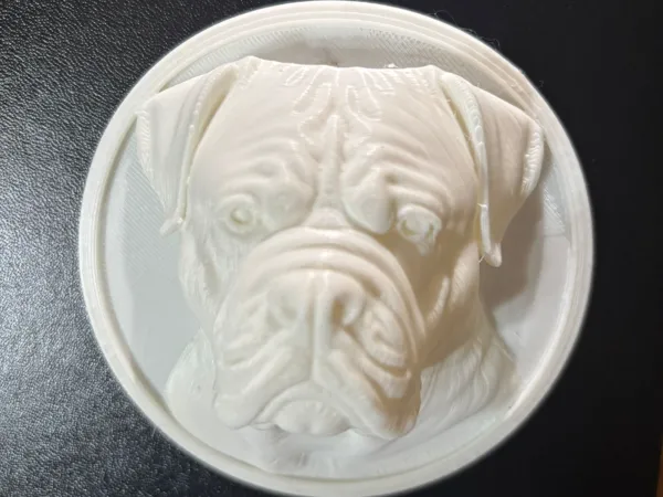 https://makerworld.bblmw.com/makerworld/model/US5505e8e4774788/design/2025-07-29_d864c55debcb48.jpeg