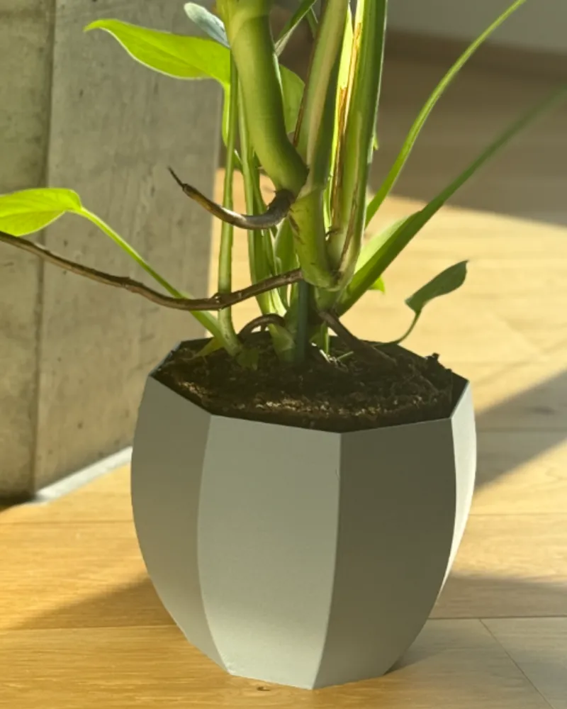 Octa Vase