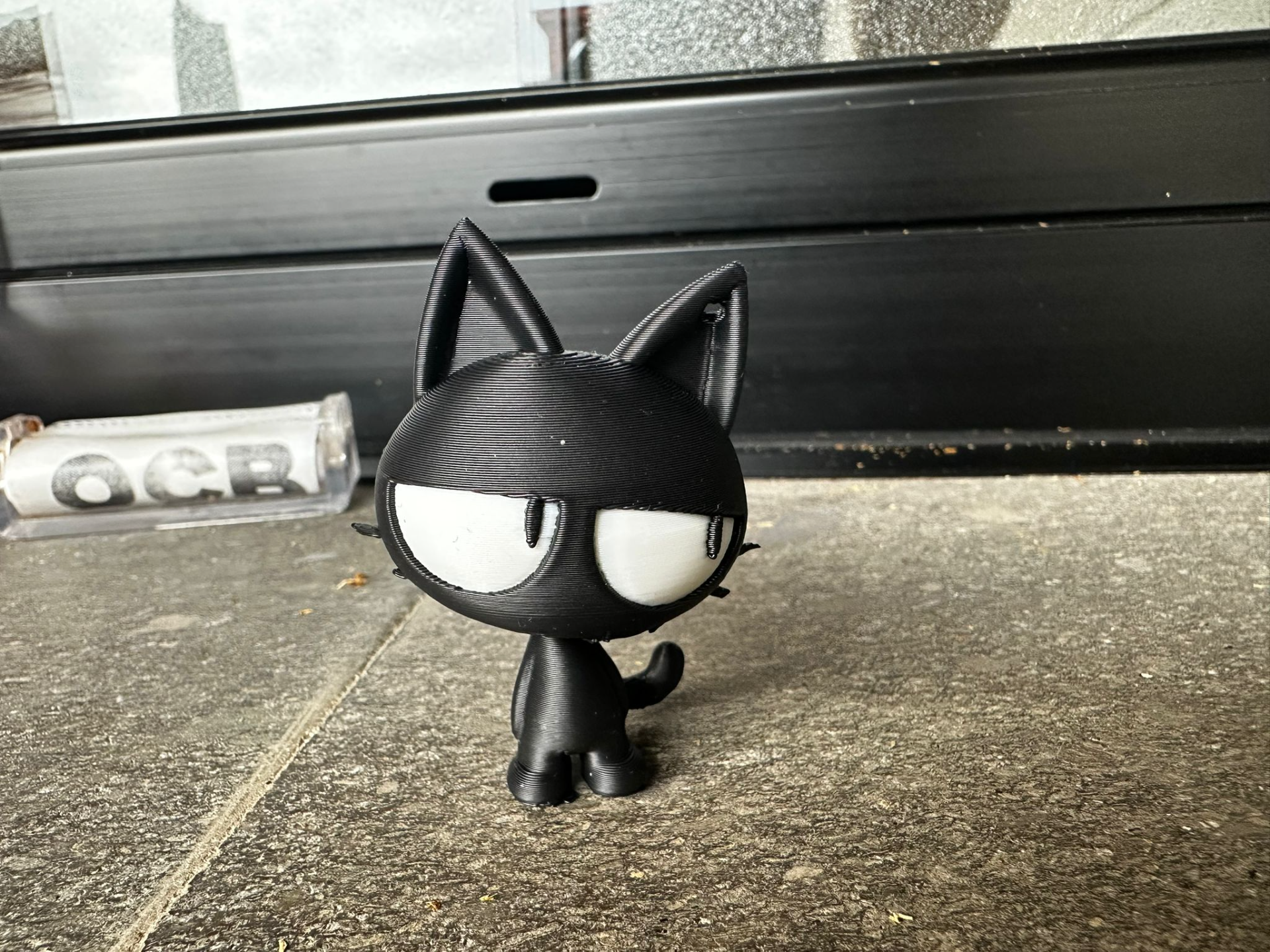 Gato actitud condescendiente