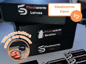 Mealworms farm v2