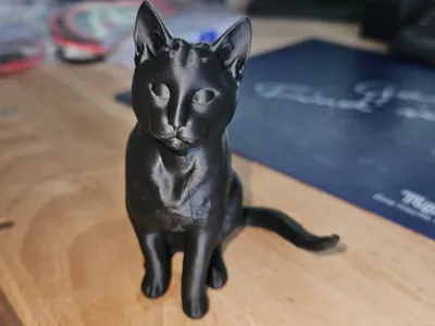 Beautiful cat