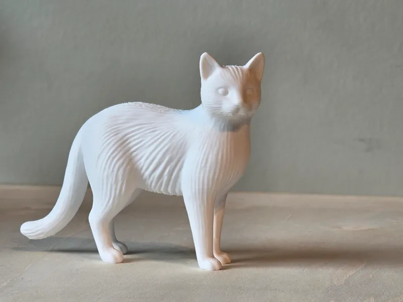 Nordic Ribbed Cat
