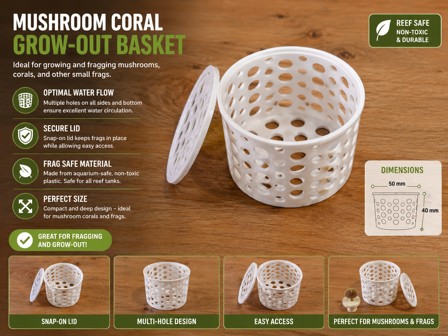 Mushroom Coral Grow-Out Basket