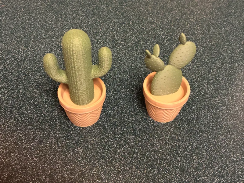 Cactus Models
