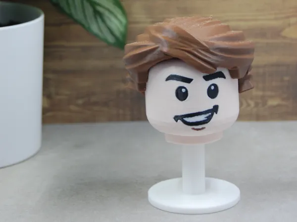 https://makerworld.bblmw.com/makerworld/model/US55275a02d6f8ef/design/8ff54a10bcf3387f.jpg