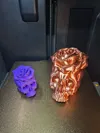 Skull with rose silk 0.2mm layer, 2 walls, 6% infill