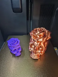 Skull with rose silk 0.2mm layer, 2 walls, 6% infill