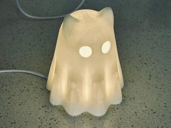 https://makerworld.bblmw.com/makerworld/model/US552bd989d78c36/design/2025-05-29_a479dddb115928.jpg