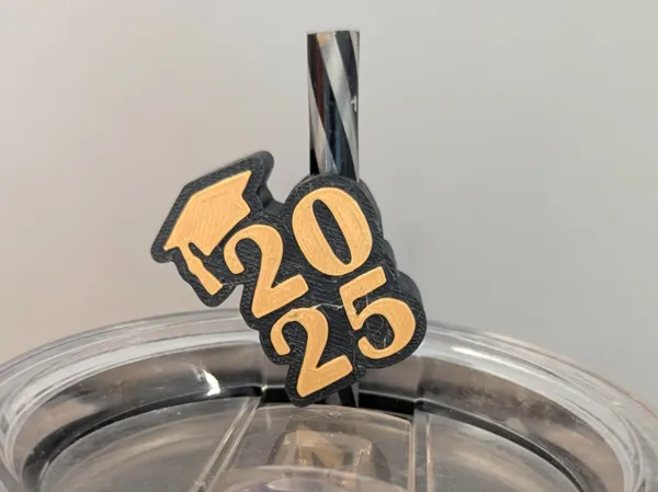 https://makerworld.bblmw.com/makerworld/model/US552f21f0cca130/design/2025-02-12_027ede54066fd.jpg