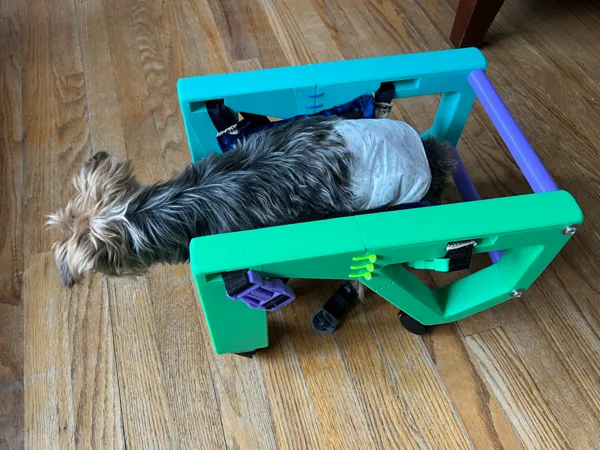 https://makerworld.bblmw.com/makerworld/model/US55332a5d4ac045/design/2025-01-26_678dfbaf438f9.jpg