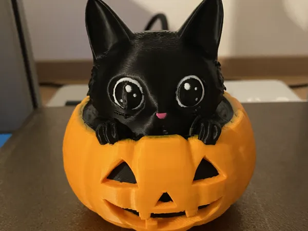https://makerworld.bblmw.com/makerworld/model/US553875e5bef4aa/design/2025-10-11_aa9144f98c2d7.jpg
