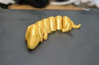 Teckel flexible articulé — photo 3