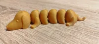 Teckel flexible articulé — photo 6