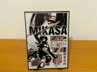 Mikasa 141x200 0.08mm layer, 2 walls, 100% infill