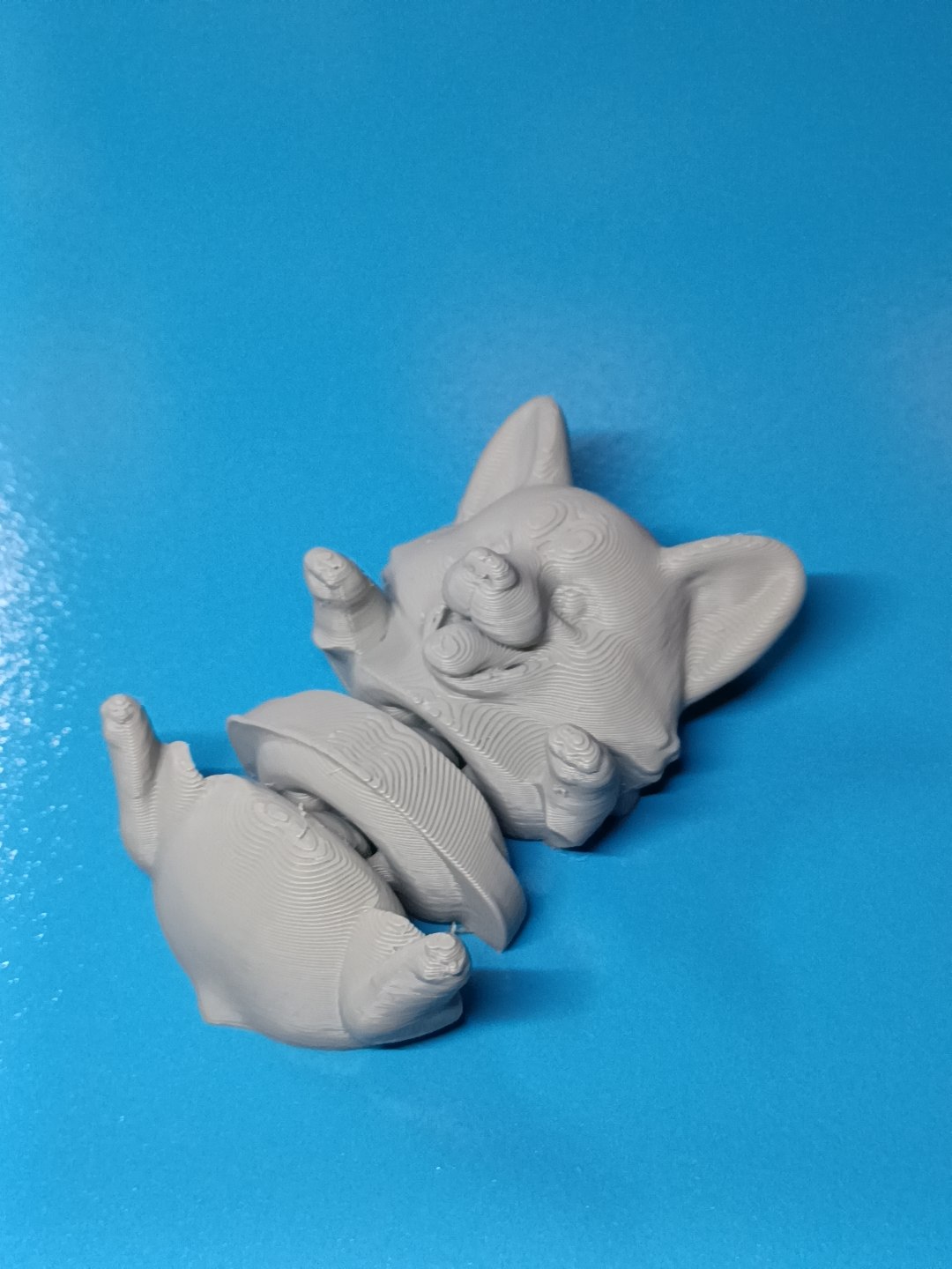 Miniatura 2 do modelo 3D Super cute Flexi Corgi