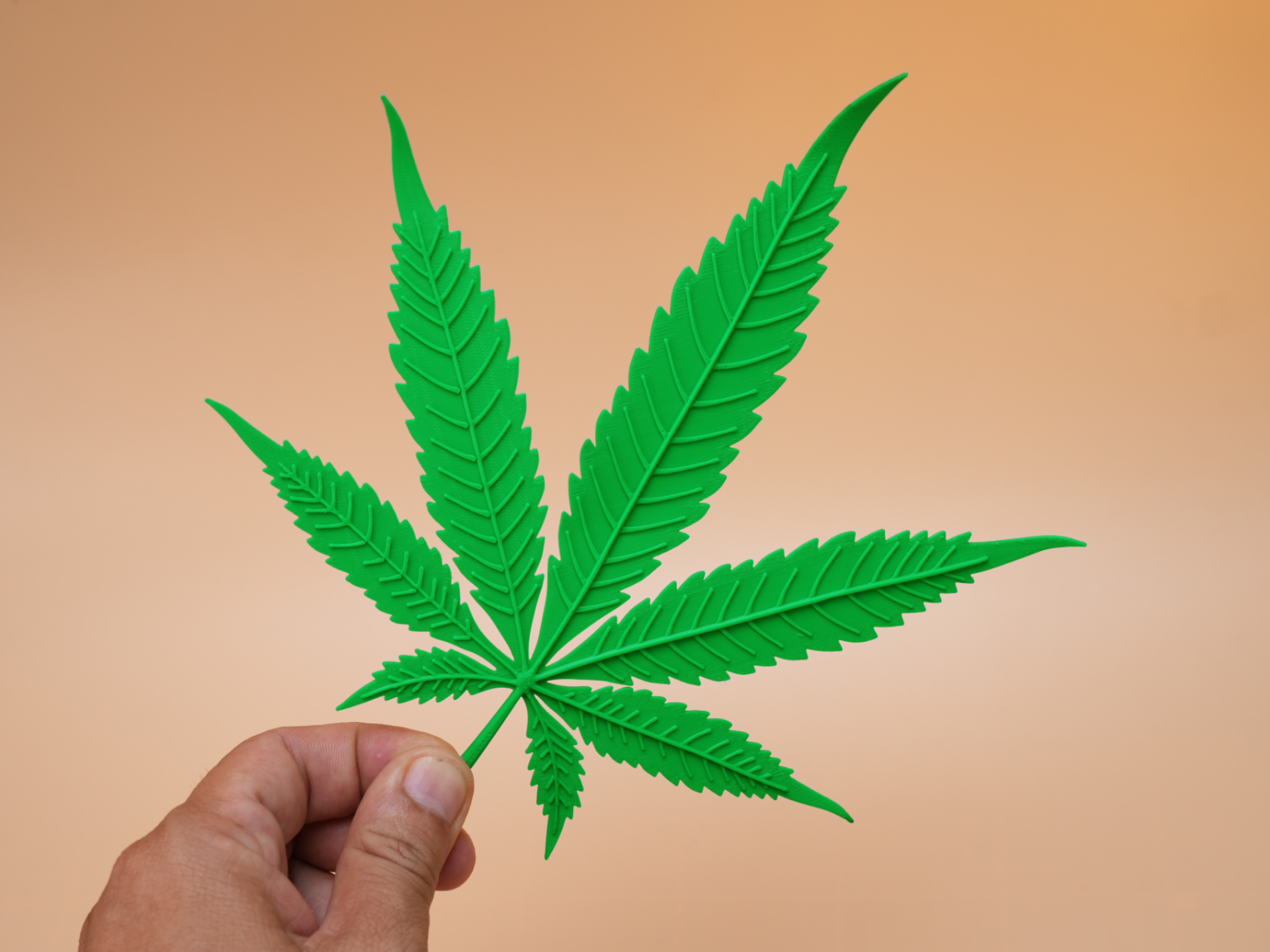 Green Weed Leaf |  3D Print Cannabis Decor