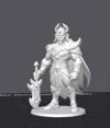 0.2mm layer, 3 walls, 8% infill