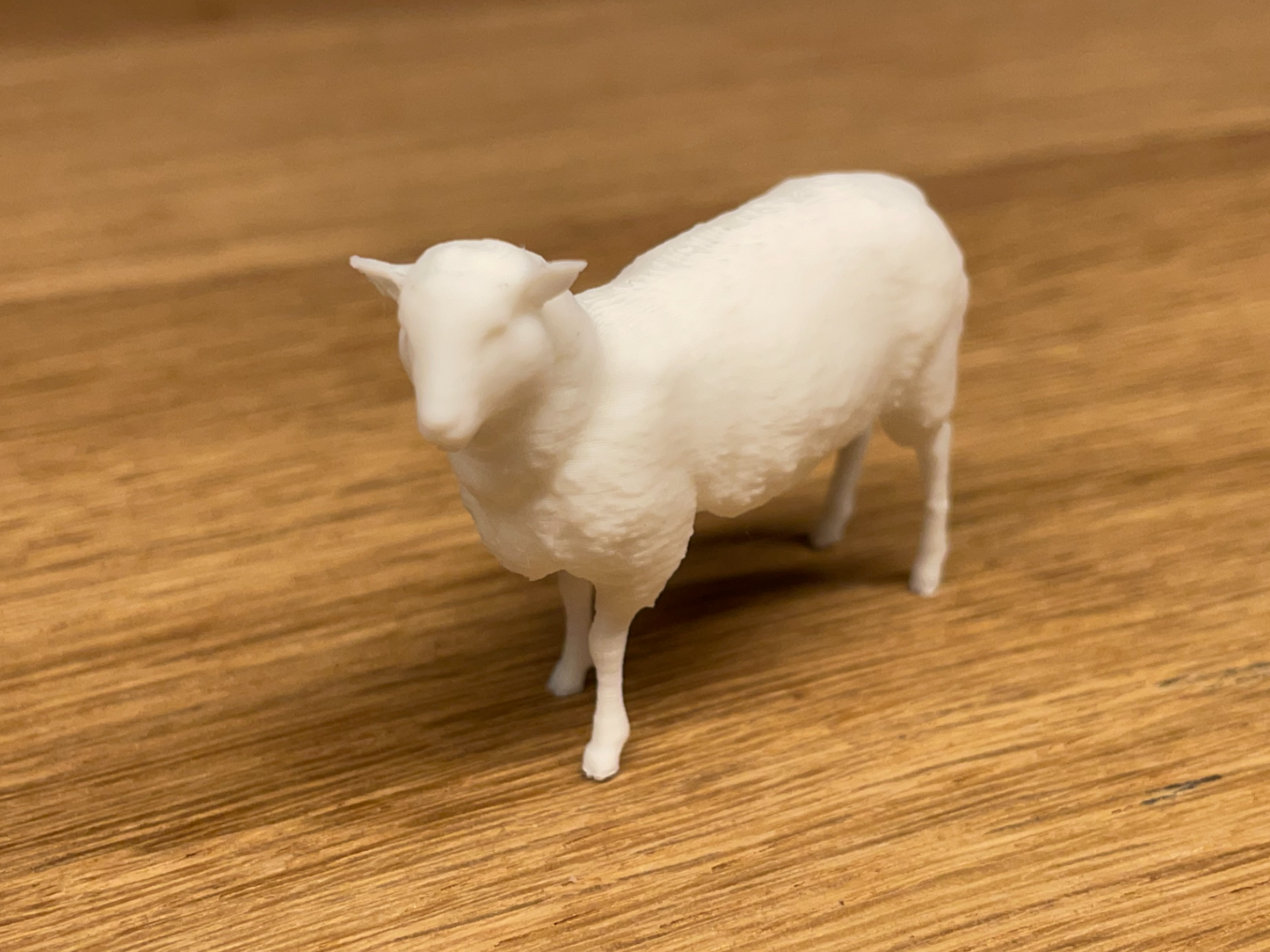 Kleines Schaf