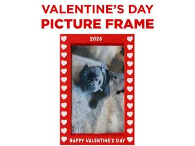 Valentine's Day Picture Frame