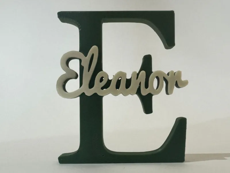 Placa de Identificação 3D - Eleanor