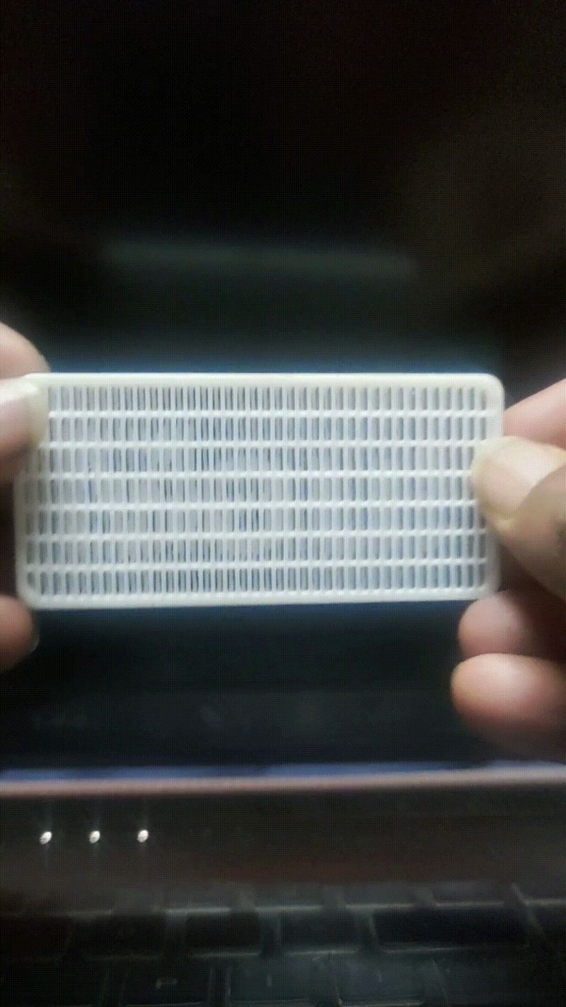 Dual-View Name Illusion Tag