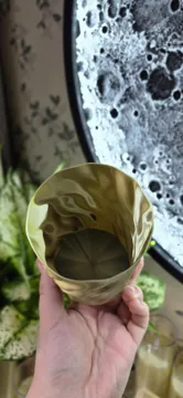 Modelo para impresión 3D: Antarctic 200ml — vista de referencia 4