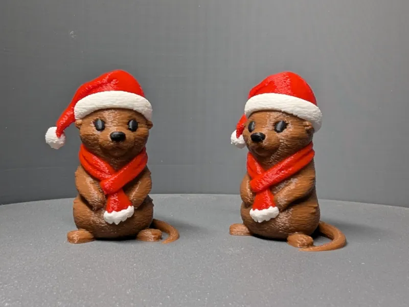Cute Christmas Otter