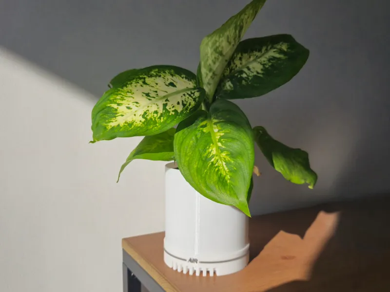 Air Force Planter
